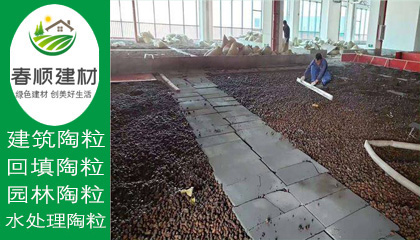 江西濾料廠家供應(yīng)水處理沉水生物陶粒 輕質(zhì)粘土陶?！?></a></div>
                    <div   id=